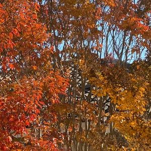 Meet your Posher, Nidhi